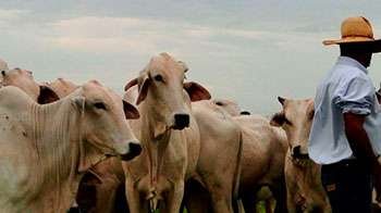 boas práticas de manejo